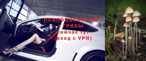 мдма Богданович
