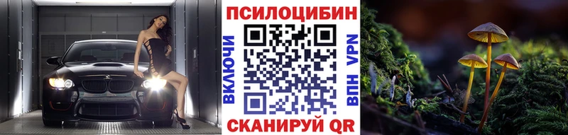 Галлюциногенные грибы Magic Shrooms  hydra сайт  Новый Уренгой  где можно купить  